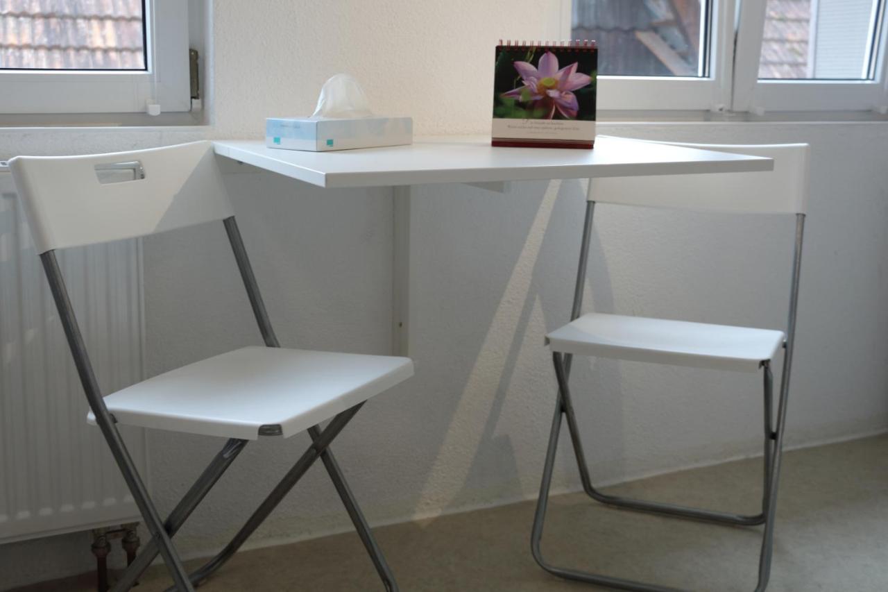 Ein Gemütliches An Der Schweizer Grenze Apartment Bietingen